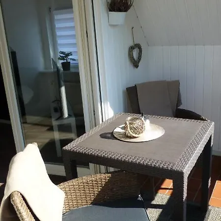 Heidestern * Schneverdingen