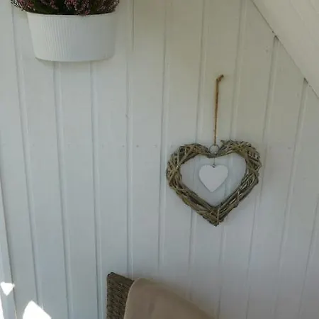 Heidestern Schneverdingen