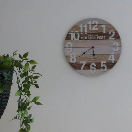 Heidestern Schneverdingen